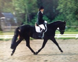 jumper Alegre G (Hanoverian, 1994, from Acord II)