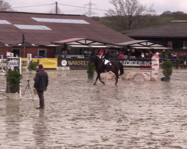 Reitturnier Havixbeck 2016