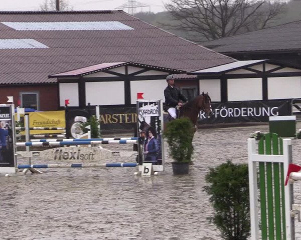Reitturnier Havixbeck 2016