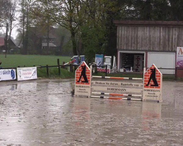 Reitturnier Havixbeck 2016