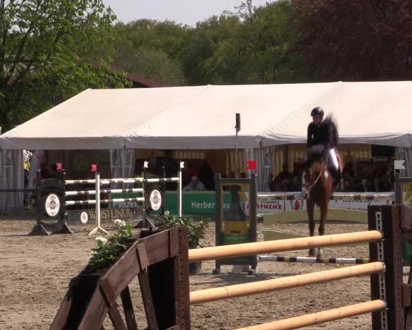 Reitturnier Havixbeck 2016