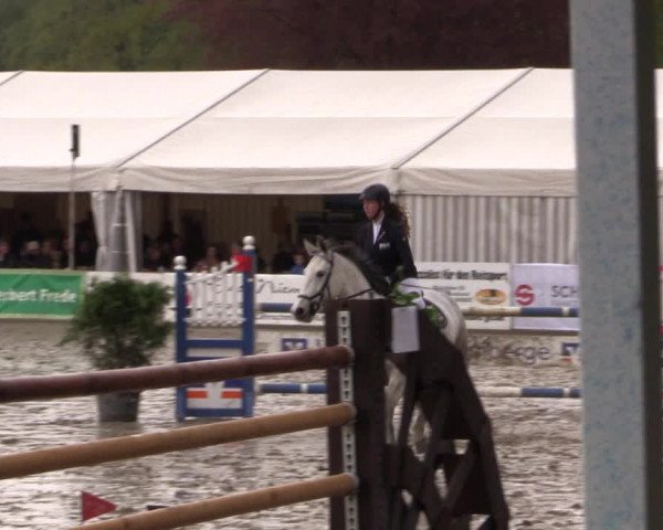 Reitturnier Havixbeck 2016