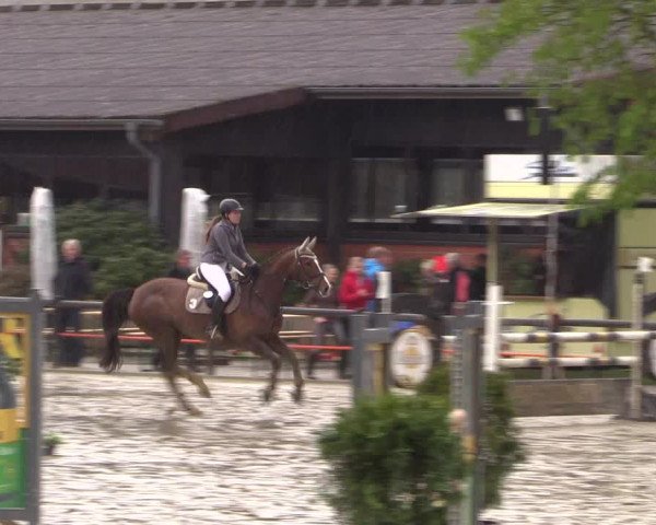 Reitturnier Havixbeck 2016