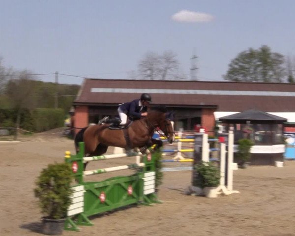 Reitturnier Havixbeck 2016