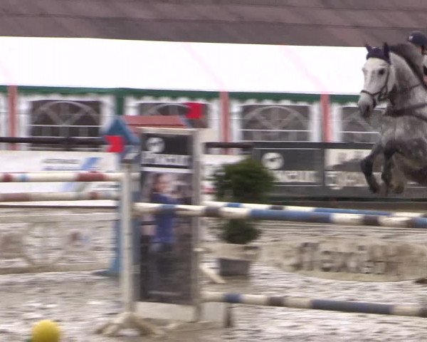 Reitturnier Havixbeck 2016