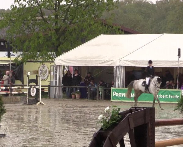 Reitturnier Havixbeck 2016