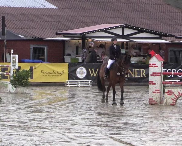 Reitturnier Havixbeck 2016