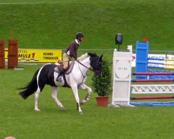 jumper Oscar du Paradis (Selle Français, 2002, from Kannan)