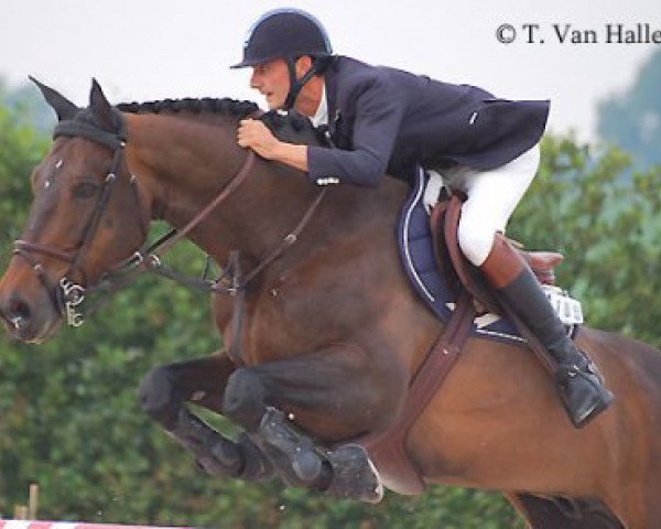 stallion Isky de Baussy (Selle Français, 1996, from Quito de Baussy)