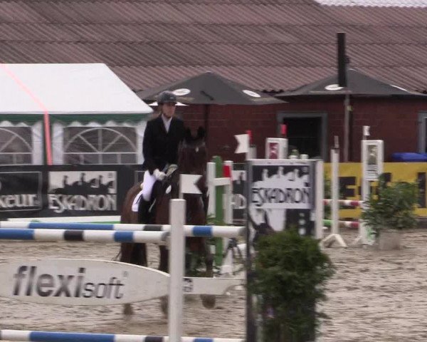 Reitturnier Havixbeck 2016