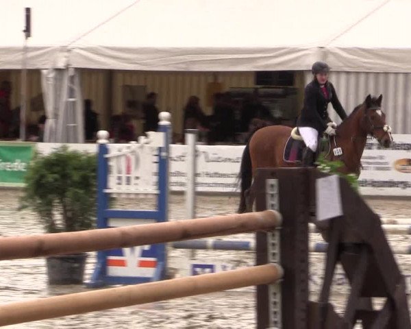 Reitturnier Havixbeck 2016