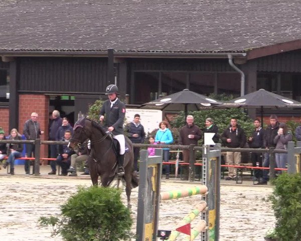Reitturnier Havixbeck 2016