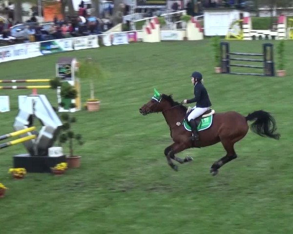 Reitturnier Greppin 2016
