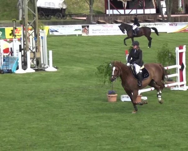 Reitturnier Greppin 2016