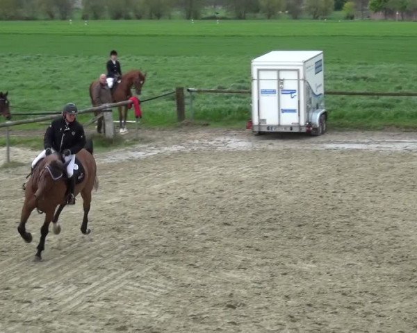Reitturnier Xanten - Moermter 2016