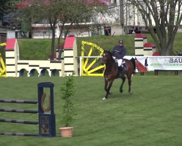 Reitturnier Greppin 2016