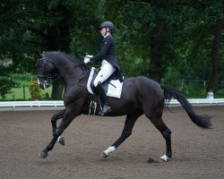 dressage horse De la Coeur 3 (Hanoverian, 2011, from Dancier)