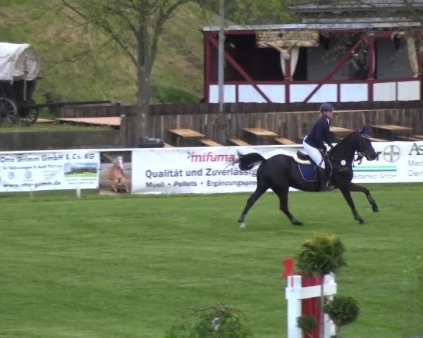 Reitturnier Greppin 2016