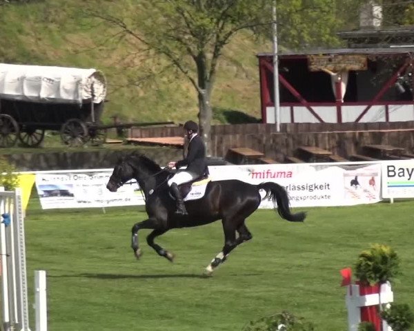Reitturnier Greppin 2016