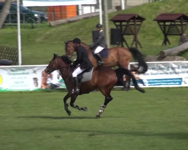 Reitturnier Greppin 2016