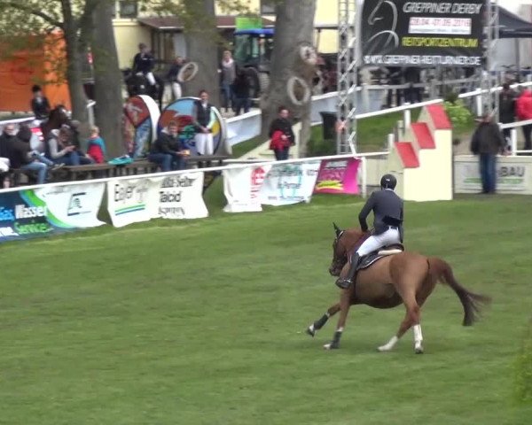 Reitturnier Greppin 2016