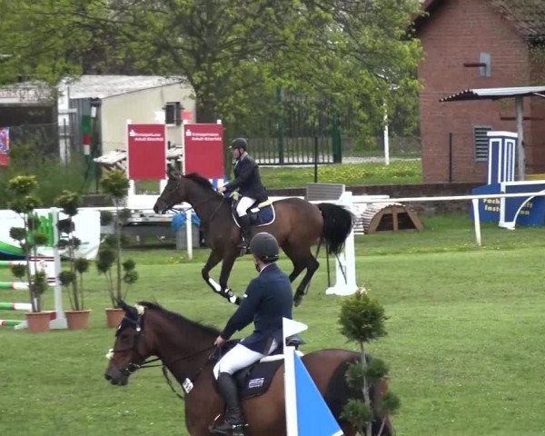 Reitturnier Greppin 2016