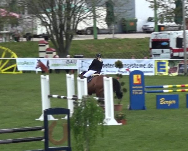 Reitturnier Greppin 2016