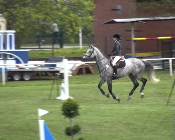 Reitturnier Greppin 2016