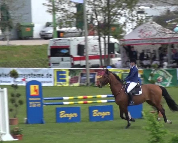 Reitturnier Greppin 2016