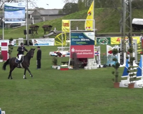 Reitturnier Greppin 2016