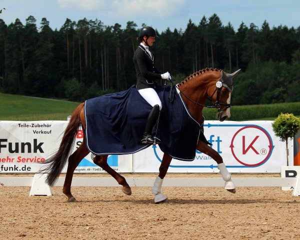 dressage horse Chalea (German Sport Horse, 2014, from Tannenhof's Chambretto Gt)