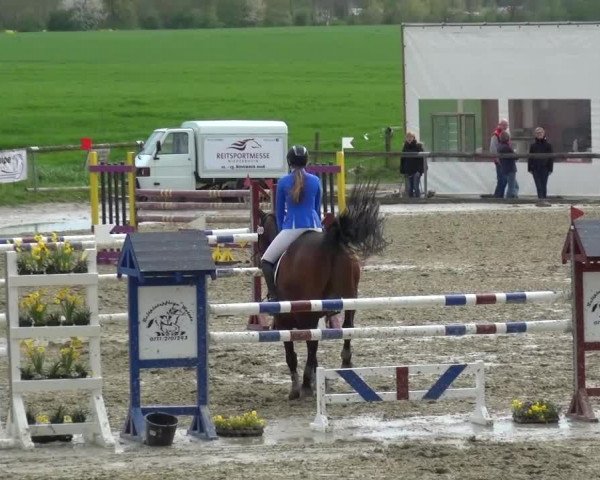 Reitturnier Xanten - Moermter 2016