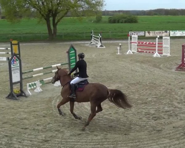 Reitturnier Xanten - Moermter 2016