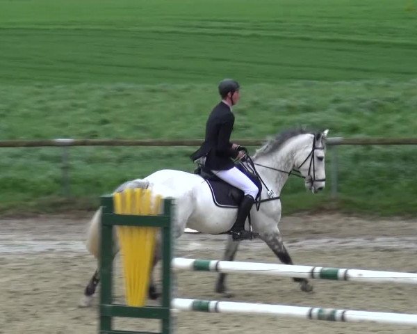Reitturnier Xanten - Moermter 2016