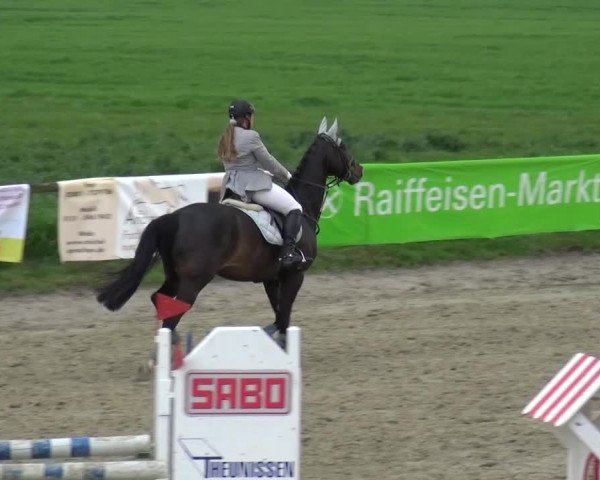 Reitturnier Xanten - Moermter 2016