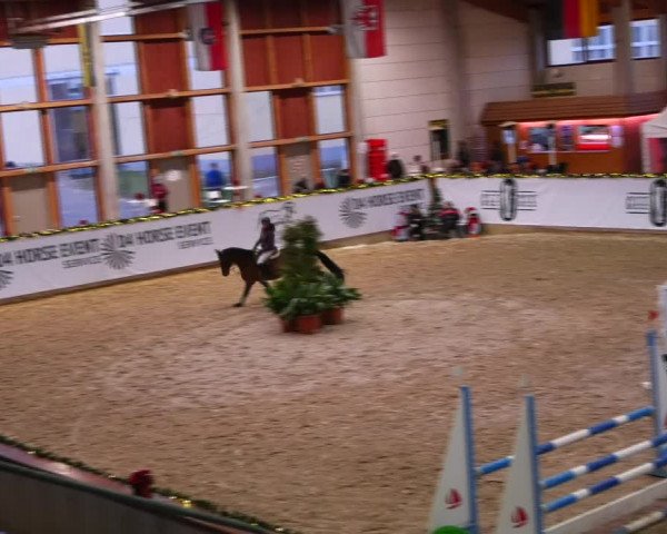 Christmas Jumping Trophy Prussendorf 2021