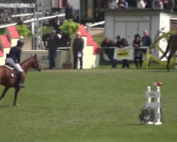 Reitturnier Greppin 2016