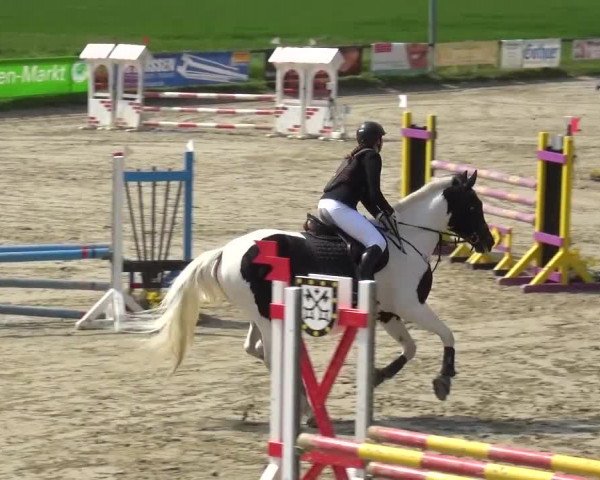 Reitturnier Xanten - Moermter 2016