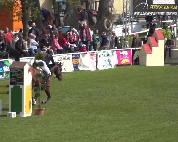Reitturnier Greppin 2016
