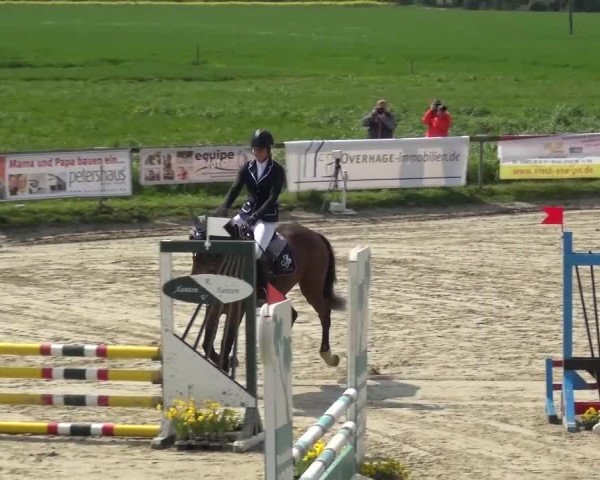 Reitturnier Xanten - Moermter 2016