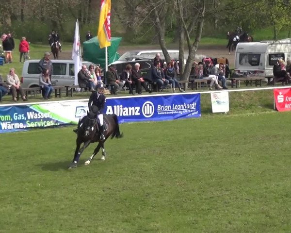 Reitturnier Greppin 2016