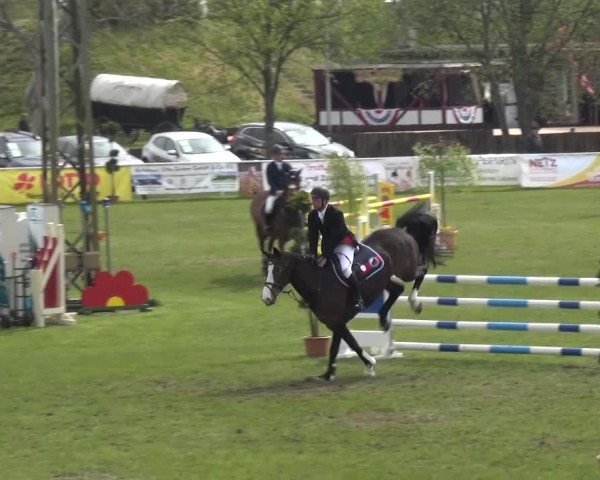 Reitturnier Greppin 2016