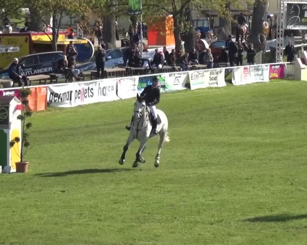 Reitturnier Greppin 2016