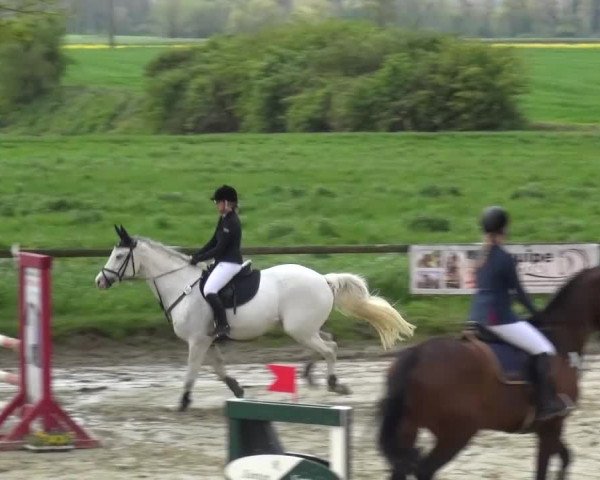 Reitturnier Xanten - Moermter 2016