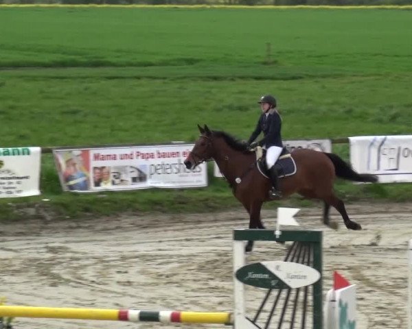 Reitturnier Xanten - Moermter 2016