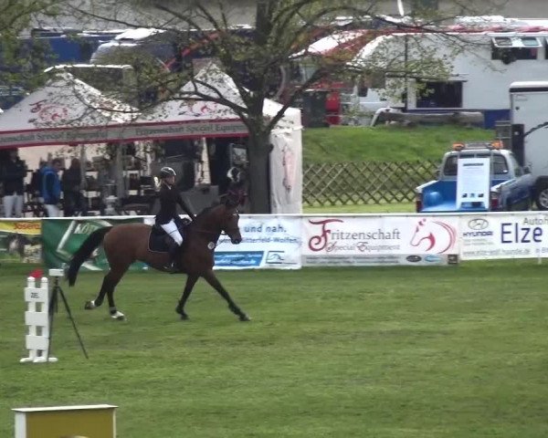 Reitturnier Greppin 2016