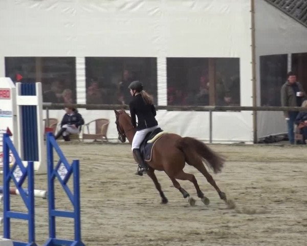 Reitturnier Xanten - Moermter 2016