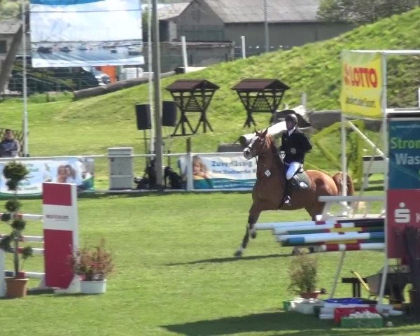 Reitturnier Greppin 2016