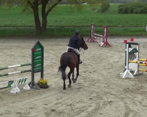 Reitturnier Xanten - Moermter 2016