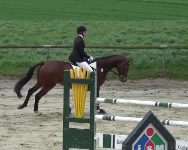 Reitturnier Xanten - Moermter 2016